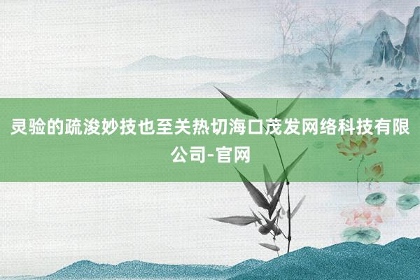 灵验的疏浚妙技也至关热切海口茂发网络科技有限公司-官网