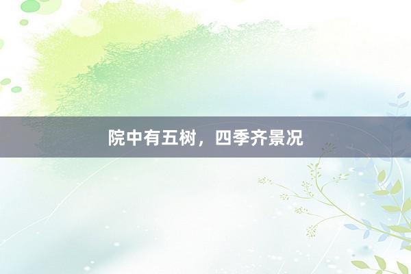 院中有五树，四季齐景况