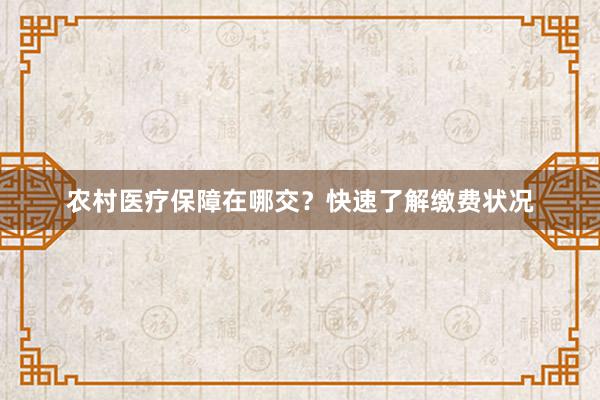 农村医疗保障在哪交？快速了解缴费状况