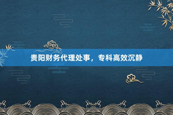 贵阳财务代理处事，专科高效沉静